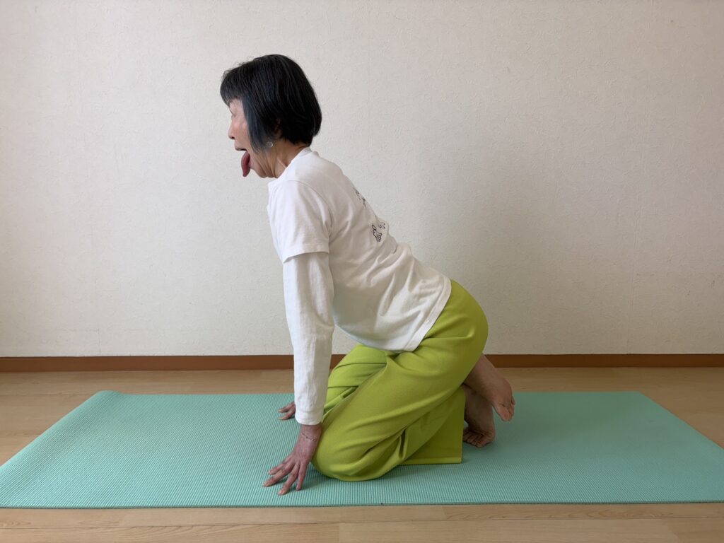 202604シンハアーサナ